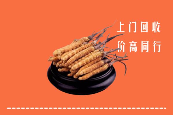 高价求购：来宾回收散虫草