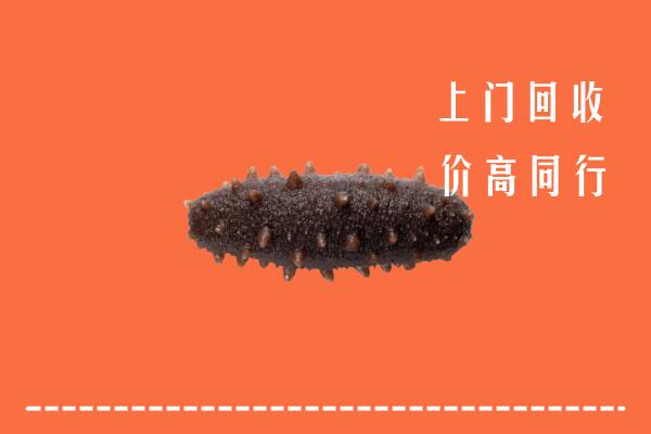 高价求购：来宾回收海参