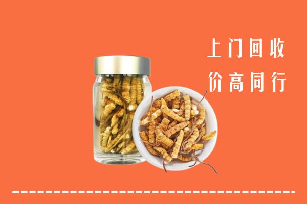 来宾回收冬虫夏草