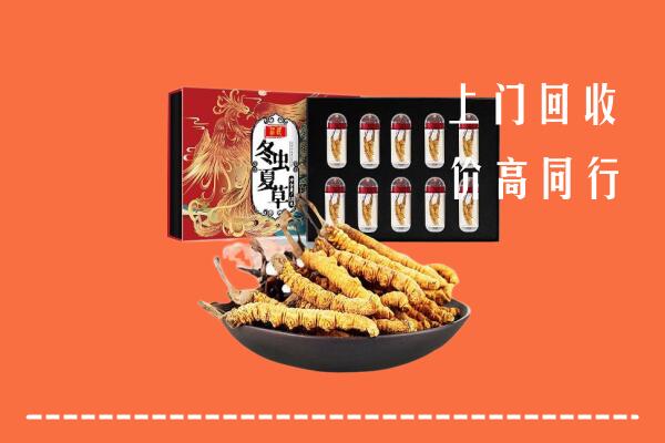 来宾回收虫草